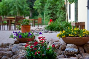 Patio-flowers-web-300x200.jpg